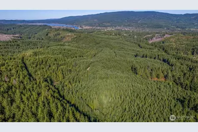 6 Parpala Road #6, Naselle, WA 98638 - Photo 1