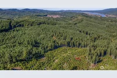 6 Parpala Road #6, Naselle, WA 98638 - Photo 8