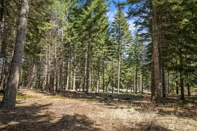 220 Tired Creek Lane, Cle Elum, WA 98922 - Photo 8