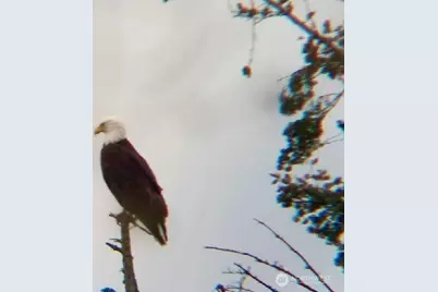 2828 Mission Beach Heights, Tulalip, WA 98271 - Photo 6