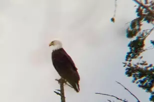 2828 Mission Beach Heights, Tulalip, WA 98271 - Photo 6