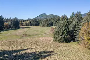 2095 Bear Creek Rd, Port Angeles, WA 98363 - Photo 36