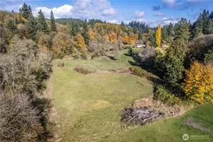 2104 Delameter Rd, Castle Rock, WA 98611 - Photo 6