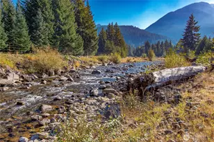 288 Baker Rd, Packwood, WA 98377 - Photo 40