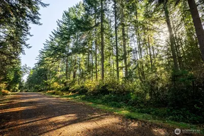 11324 Laurel Place, Anderson Island, WA 98303 - Photo 1