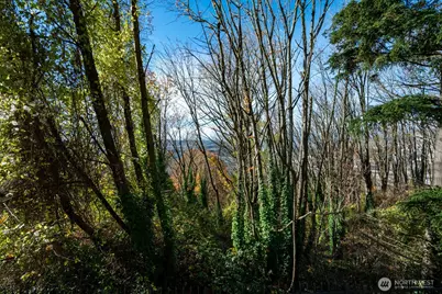 1311 12th Avenue S #C104, Seattle, WA 98144 - Photo 28