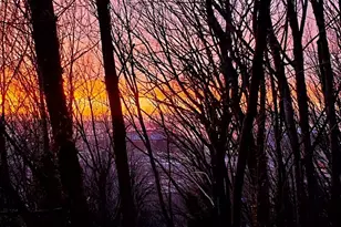 1311 12th Ave S, Seattle, WA 98144 - Photo 30