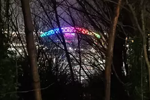 1311 12th Ave S, Seattle, WA 98144 - Photo 30