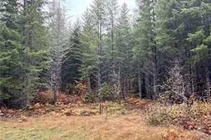 4 Xx Forest Road 52, Packwood, WA 99338 - Photo 1
