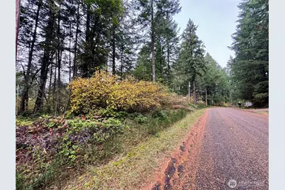 10824 Madrona Drive, Anderson Island, WA 98303 - Photo 4