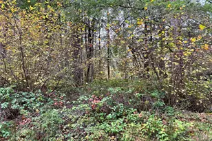 10824 Madrona Dr, Anderson Island, WA 98303 - Photo 6