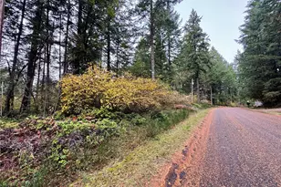 10824 Madrona Dr, Anderson Island, WA 98303 - Photo 8