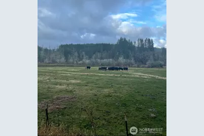 397 Bunker and 0 Bunker Road, Chehalis, WA 98532 - Photo 14