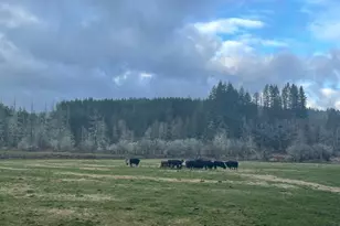 397 Bunker and 0 Bunker Rd, Chehalis, WA 98532 - Photo 14