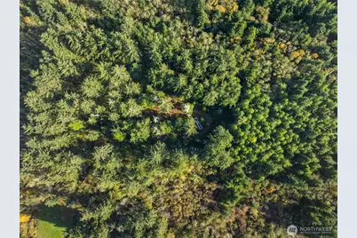 0 147th Street, Long Beach, WA 98631 - Photo 10