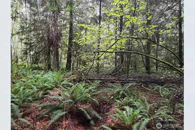 8721 Salty Drive NW, Olympia, WA 98502 - Photo 4