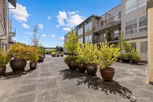225 Logan Ave S, Renton, WA 98057 - Photo 14