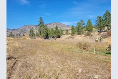 20 Round Up Road, Oroville, WA 98844 - Photo 10