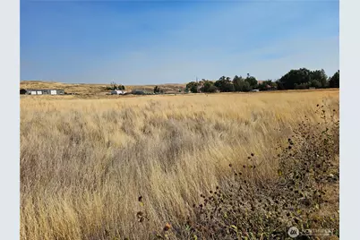 6 W North Avenue, Washtucna, WA 99371 - Photo 2