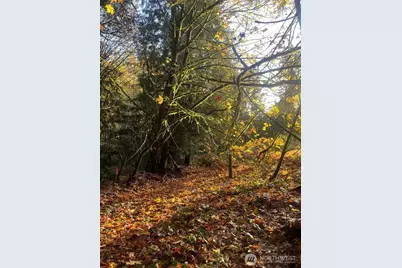 8621 SE Bethel Burley Road, Port Orchard, WA 98367 - Photo 2