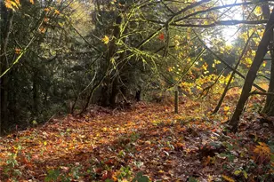 8621 SE Bethel Burley Rd, Port Orchard, WA 98367 - Photo 1