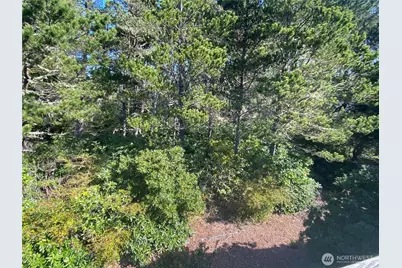 29008 K Lane, Ocean Park, WA 98640 - Photo 22