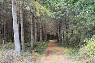 132 Xx Algyer Road SE, Rainier, WA 98576 - Photo 14