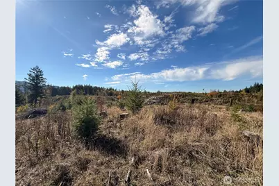 132 Xx Algyer Road SE, Rainier, WA 98576 - Photo 22