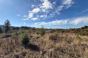 132 Xx Algyer Road SE, Rainier, WA 98576 - Photo 22