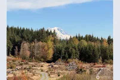 132 Xx Algyer Road SE, Rainier, WA 98576 - Photo 8