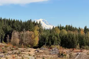 132 Xx Algyer Road SE, Rainier, WA 98576 - Photo 8