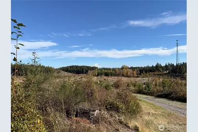132 Xx Algyer Road SE, Rainier, WA 98576 - Photo 10