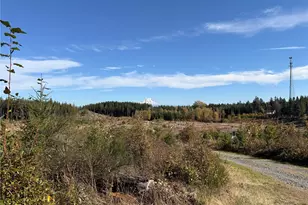 132 Xx Algyer Road SE, Rainier, WA 98576 - Photo 10