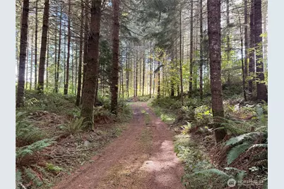 132 Xx Algyer Road SE, Rainier, WA 98576 - Photo 6