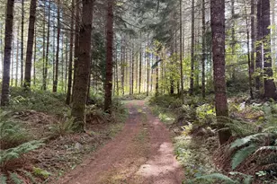 132 Xx Algyer Road SE, Rainier, WA 98576 - Photo 6