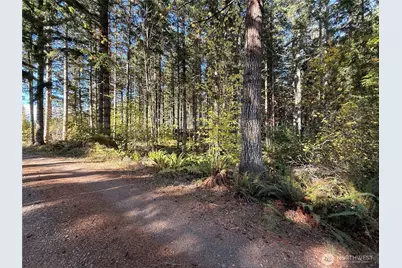 132 Xx Algyer Road SE, Rainier, WA 98576 - Photo 18