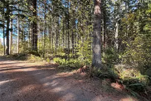 132 Xx Algyer Road SE, Rainier, WA 98576 - Photo 18