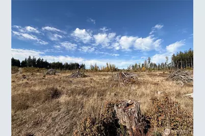 132 Xx Algyer Road SE, Rainier, WA 98576 - Photo 16