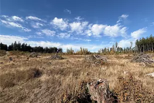 132 Xx Algyer Road SE, Rainier, WA 98576 - Photo 16