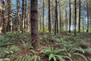 132 Xx Algyer Road SE, Rainier, WA 98576 - Photo 4