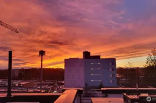 437 NE 73rd St, Seattle, WA 98115 - Photo 20