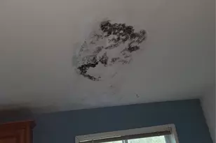 9202 Thunderbird Ln, Concrete, WA 98237 - Photo 16