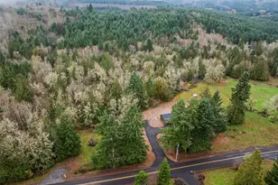 960 Paine Rd, Castle Rock, WA 98611 - Photo 12