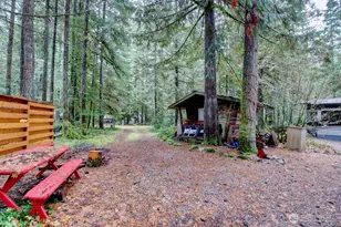 244 Schinn Canyon Ct, Deming, WA 98244 - Photo 6