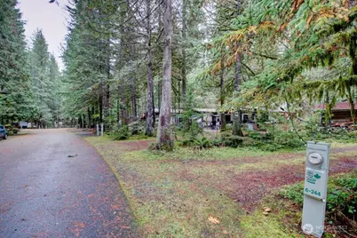 244 Schinn Canyon Court, Deming, WA 98244 - Photo 20