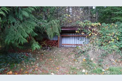 973 Davis Lake Road, Morton, WA 98356 - Photo 20