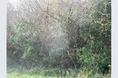 4 Driftwood Drive, Ocean City, WA 98569 - Photo 2