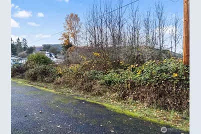 2 Roosevelt Road, Mineral, WA 98356 - Photo 8