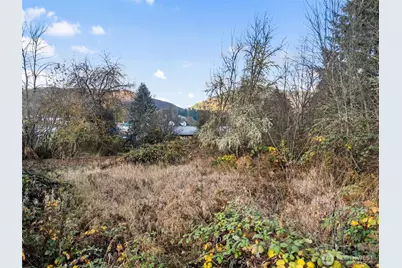 1 Roosevelt Street, Mineral, WA 98355 - Photo 4