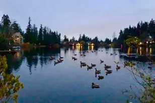 19414 Aurora Ave N, Shoreline, WA 98133 - Photo 2